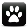 Captcha image 1609